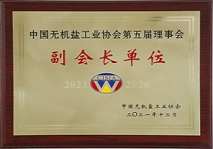 全國無機(jī)鹽工業(yè)協(xié)會(huì)副會(huì)長(zhǎng)